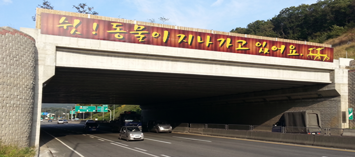 I-Girder형 교량 전경