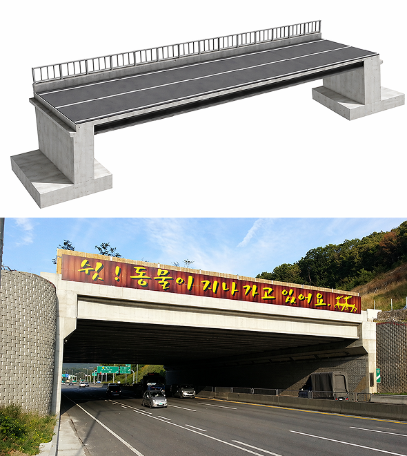 일반형
