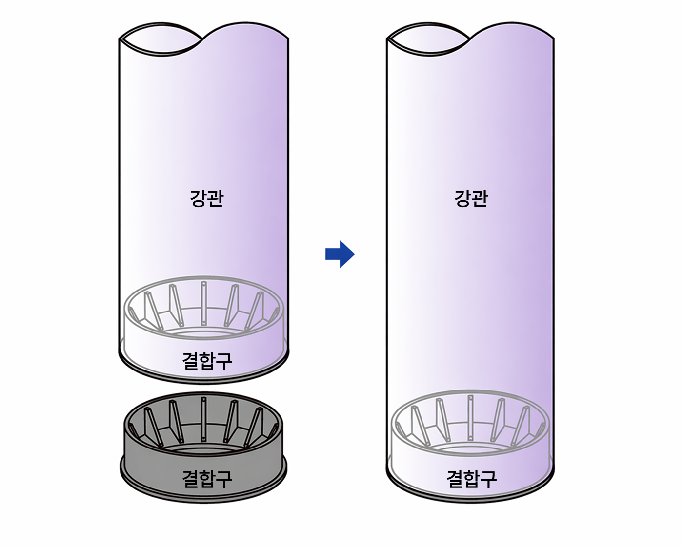 HCP 제작 1차